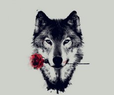 Bryan_z
